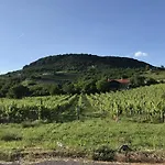 Balaton Rustic Бадачоньтёрдемиц
