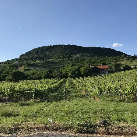 Balaton Rustic Бадачоньтёрдемиц