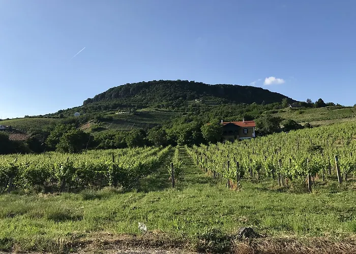 Balaton Rustic Badacsonytördemic